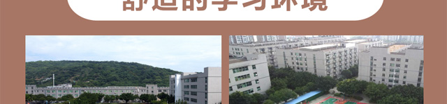 2025̩